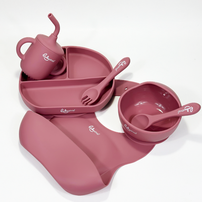 Set Lulushop Diversificare si Hranire 6 piese - Gentle Bites - Pink Daisy